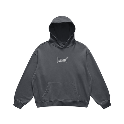 Harmony Basic Oversized Hoodie Carvon Grey