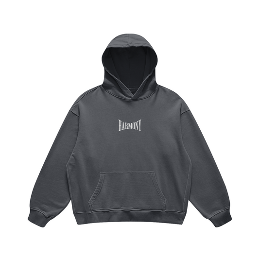 Harmony Basic Oversized Hoodie Carvon Grey
